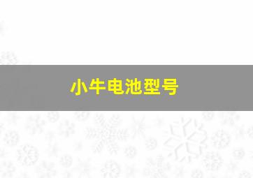 小牛电池型号