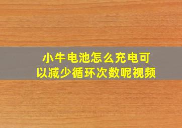 小牛电池怎么充电可以减少循环次数呢视频