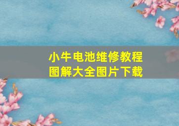 小牛电池维修教程图解大全图片下载