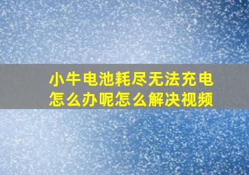 小牛电池耗尽无法充电怎么办呢怎么解决视频