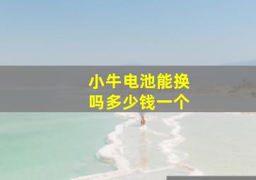 小牛电池能换吗多少钱一个