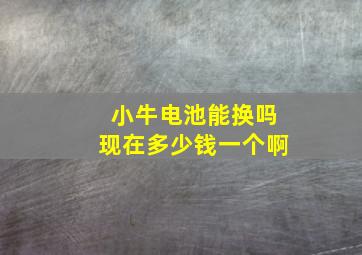 小牛电池能换吗现在多少钱一个啊