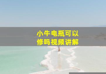 小牛电瓶可以修吗视频讲解