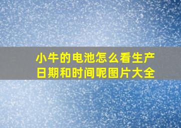 小牛的电池怎么看生产日期和时间呢图片大全