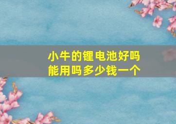 小牛的锂电池好吗能用吗多少钱一个