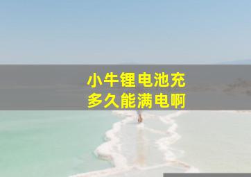 小牛锂电池充多久能满电啊