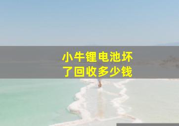 小牛锂电池坏了回收多少钱