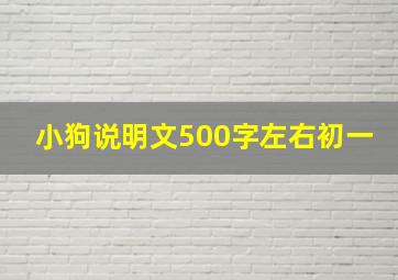 小狗说明文500字左右初一