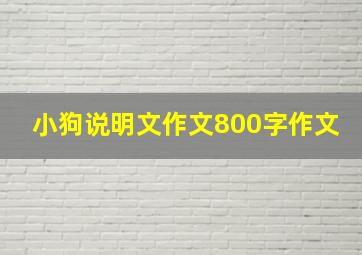 小狗说明文作文800字作文