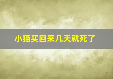 小猫买回来几天就死了