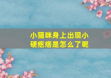 小猫咪身上出现小硬疙瘩是怎么了呢