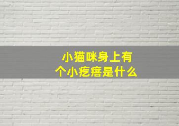 小猫咪身上有个小疙瘩是什么