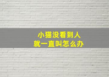 小猫没看到人就一直叫怎么办