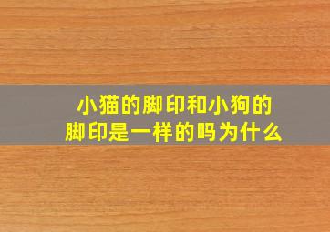 小猫的脚印和小狗的脚印是一样的吗为什么