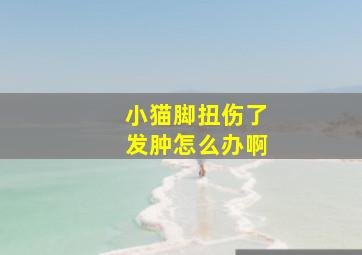 小猫脚扭伤了发肿怎么办啊