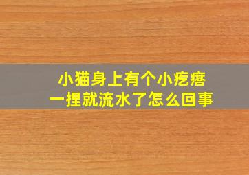 小猫身上有个小疙瘩一捏就流水了怎么回事