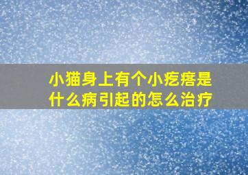 小猫身上有个小疙瘩是什么病引起的怎么治疗