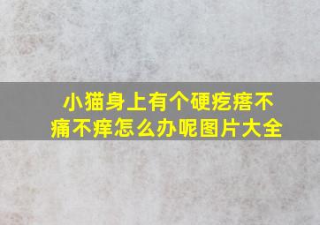 小猫身上有个硬疙瘩不痛不痒怎么办呢图片大全