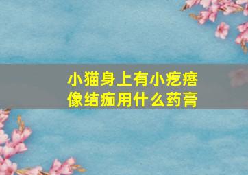 小猫身上有小疙瘩像结痂用什么药膏