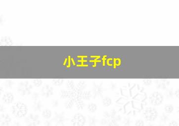 小王子fcp