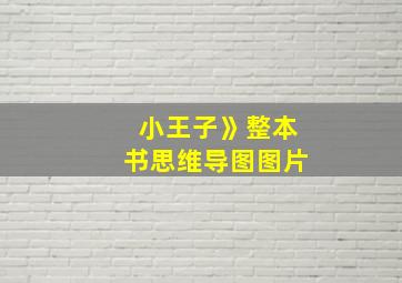 小王子》整本书思维导图图片