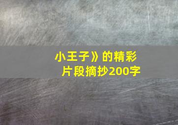 小王子》的精彩片段摘抄200字