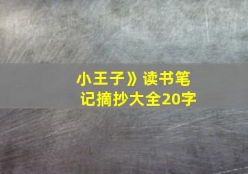 小王子》读书笔记摘抄大全20字