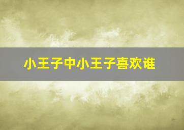 小王子中小王子喜欢谁