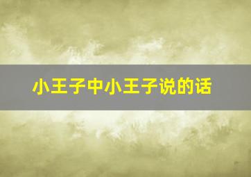 小王子中小王子说的话