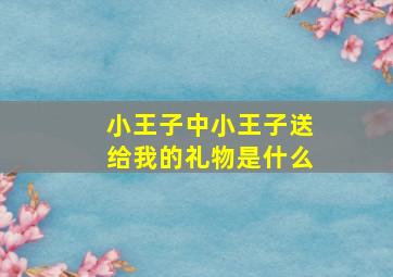 小王子中小王子送给我的礼物是什么