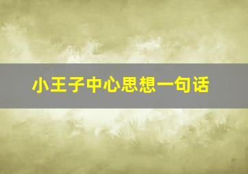 小王子中心思想一句话