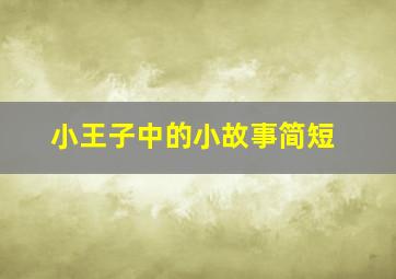 小王子中的小故事简短