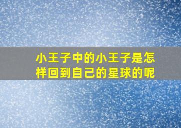 小王子中的小王子是怎样回到自己的星球的呢