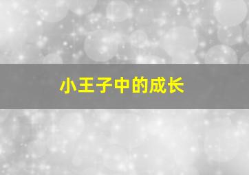 小王子中的成长