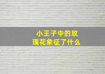 小王子中的玫瑰花象征了什么