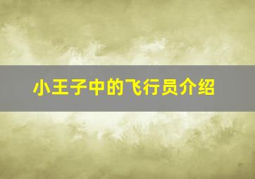 小王子中的飞行员介绍