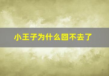 小王子为什么回不去了