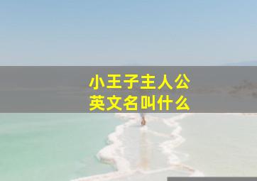 小王子主人公英文名叫什么