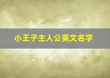 小王子主人公英文名字