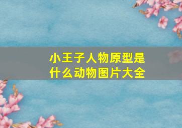 小王子人物原型是什么动物图片大全