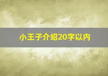 小王子介绍20字以内