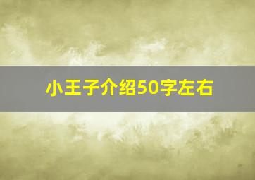 小王子介绍50字左右