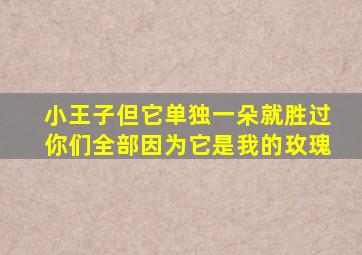 小王子但它单独一朵就胜过你们全部因为它是我的玫瑰