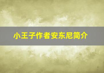 小王子作者安东尼简介