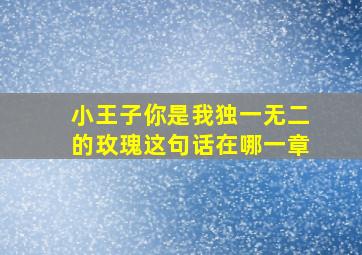 小王子你是我独一无二的玫瑰这句话在哪一章