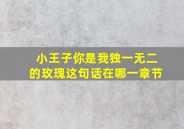 小王子你是我独一无二的玫瑰这句话在哪一章节