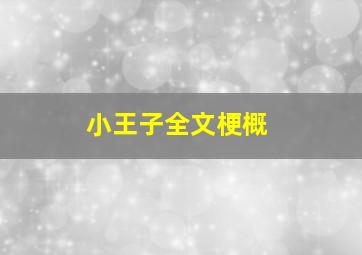 小王子全文梗概