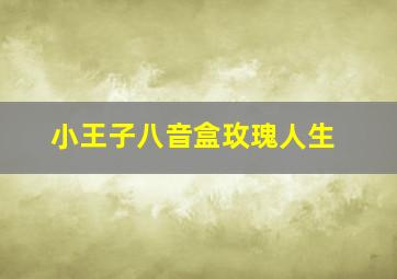 小王子八音盒玫瑰人生