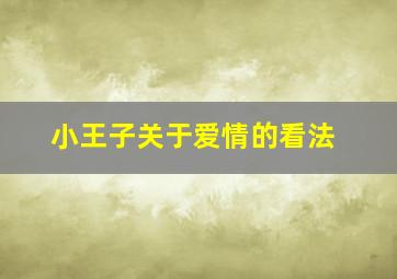 小王子关于爱情的看法