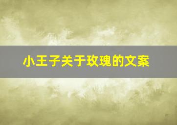 小王子关于玫瑰的文案